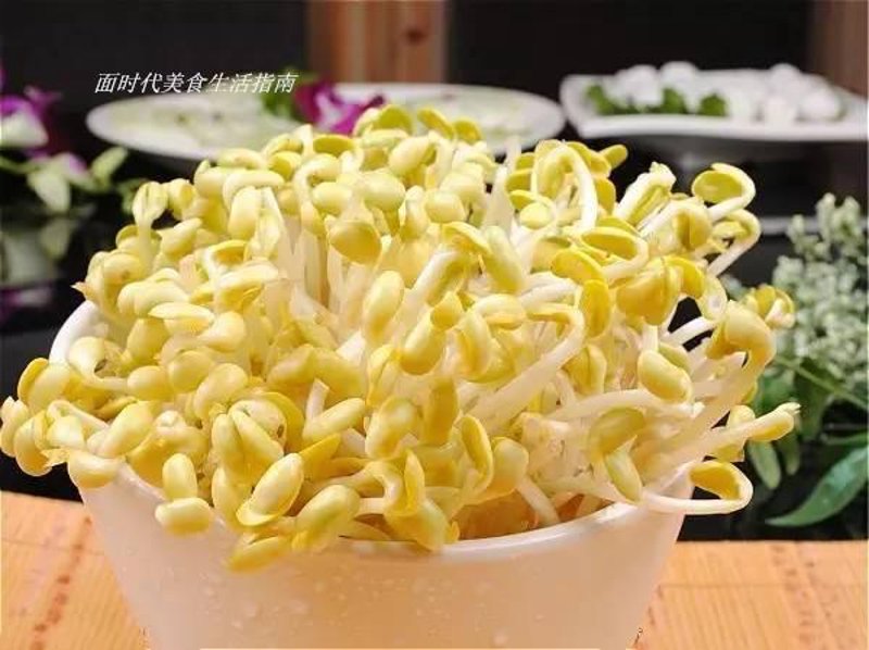 豆芽生长的秘密